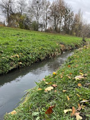 아담 보지치키 공원 (파르크 아다마 보지치키에고)
